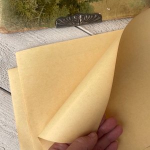 Ritagli di carta da macellaio vintage, fogli di carta da imballaggio pesante, carta per merce antica, 10 fogli