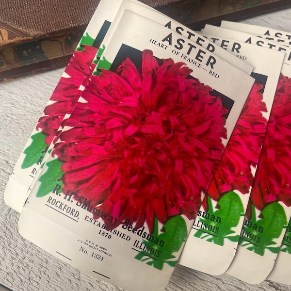 Vintage seed packs, Red Aster, unused NOS envelope, Ephemera For Botanical junk journal, 5 or 10 pcs