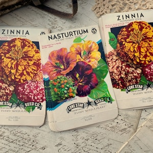 Confezioni di semi di fiori vintage, colori rosso, arancione, giallo, inutilizzati NOS, effimeri, tasca per diario spazzatura, botanica