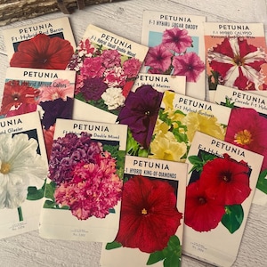 Confezioni di semi di fiori vintage, mix ibrido di petunia, effimeri colorati per diario di viaggio, botanici, set casuale di 4 pezzi