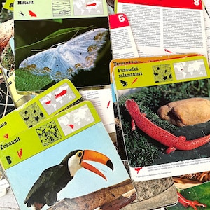 Carte vintage con animali, carta didattica finlandese, natura, insegnamento, diario di scarto, effimeri, anni '70, scrapbooking, 10 fogli