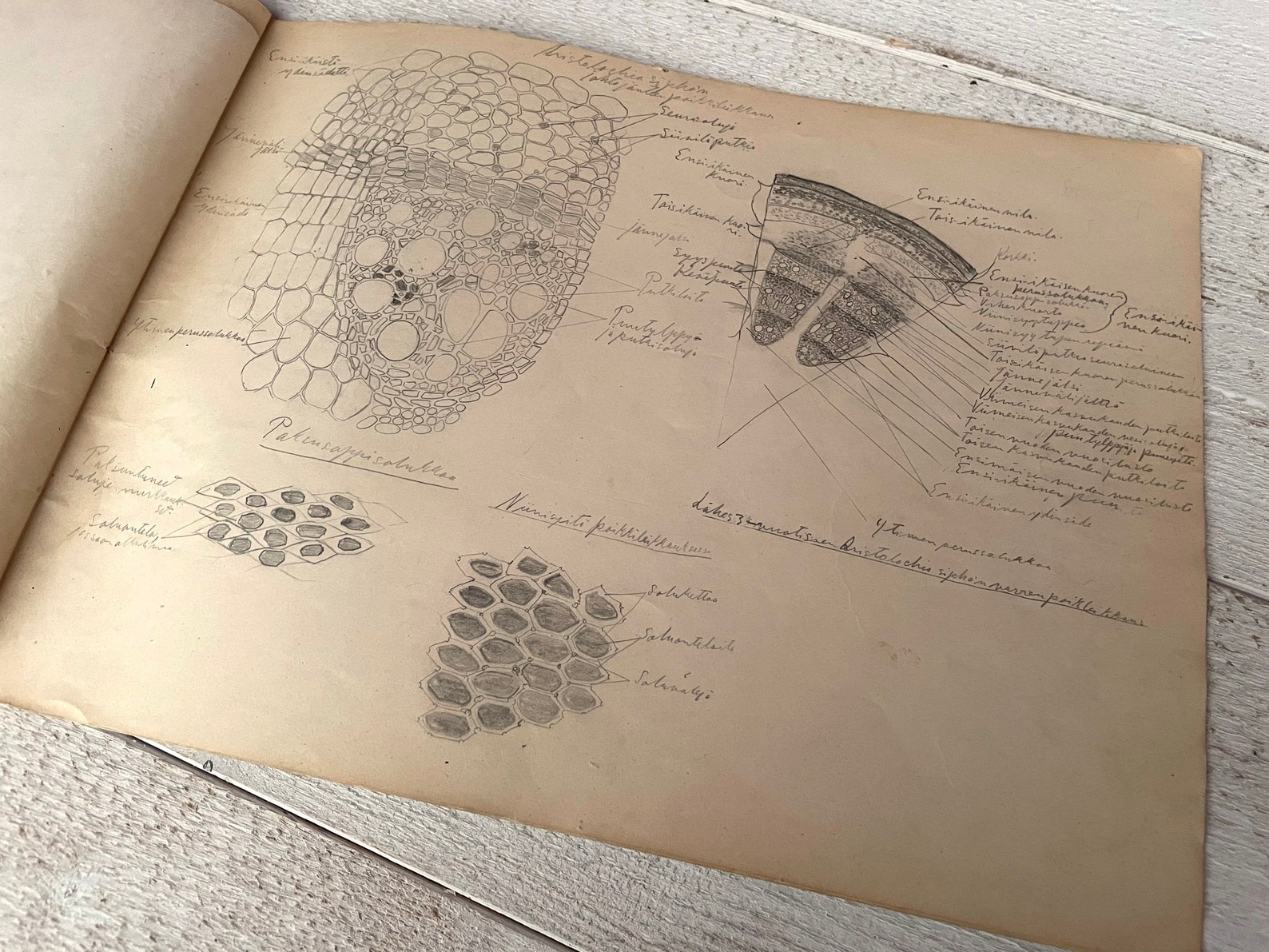 Vintage Sketch Book School Drawings Book Finnish Scholar Etsy