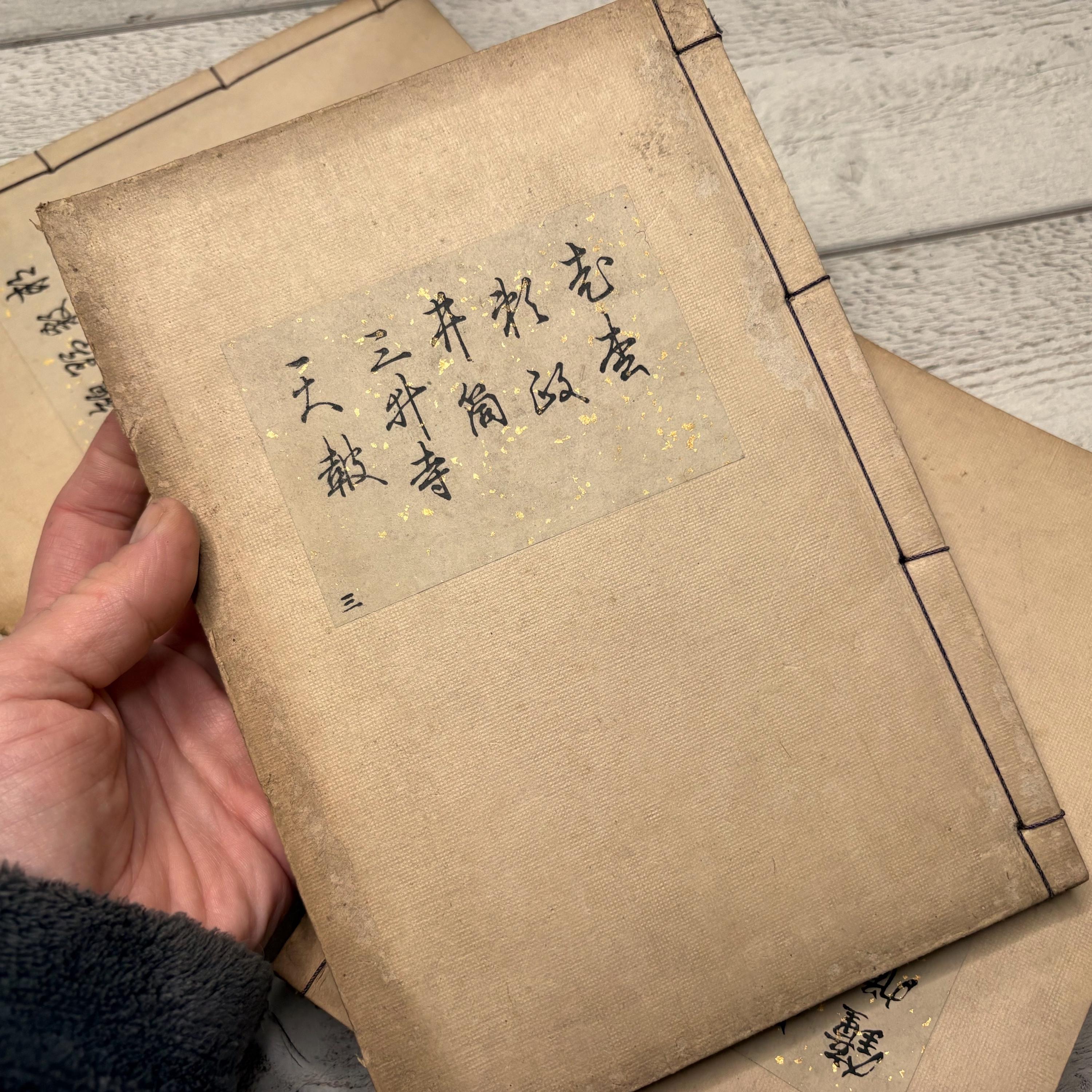 Antique Japanese Book, Complete Soft Cover Book, Asian Writing