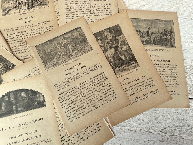 May include: A collection of vintage, yellowed pages from a book about the life of David and the story of Tobit. The pages feature black and white illustrations and text in French.