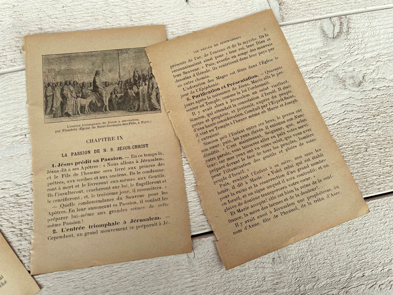 May include: A black and white illustration of a historical scene depicting a man riding a donkey with a crowd of people following behind. The image is from a book titled "La Passion de N. S. Jesus Christ" and includes the text "CHAPITRE IX".
