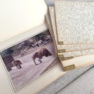 Grandes photographies vintage dans un dossier, paysages de l'aéroport de zoo, éphémères de journaux indésirables, 7 photos avec cadre