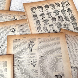 Pagine di dizionario francese antico, illustrate, per diari e lavori manuali, carta per scrapbooking, 20 o 50 fogli