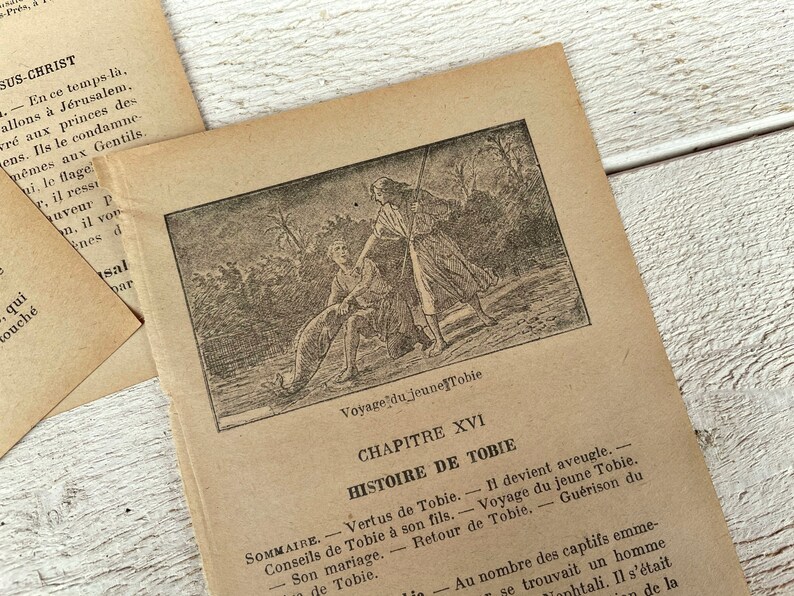 May include: A black and white illustration of a man fishing with a young boy. The illustration is from a book titled "Voyage du jeune Tobie" and is accompanied by text in French. The text includes the chapter title "Chapitre XVI" and the heading "Histoire de Tobie".