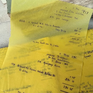 Carta velina francese antica, Carta molto sottile, Pagine di resoconto scritte a mano, Effimere di diario spazzatura, 10 fogli