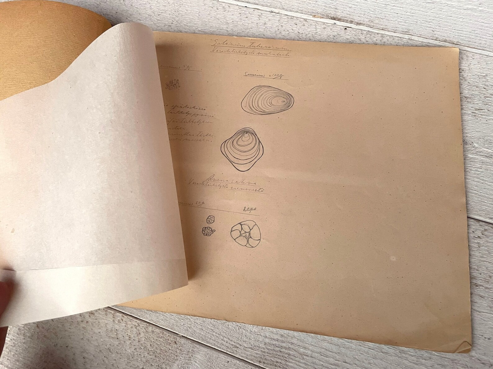 Vintage Sketch Book School Drawings Book Finnish Scholar Etsy