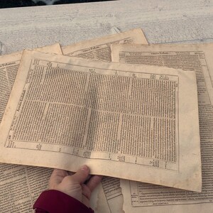 Antieke 1620 Latijnse boekpagina's, groot oud papier, efemere ongewenste tijdschriften, 5 vellen