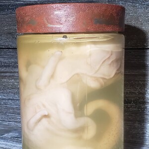 Resident Evil Fan Art Cadou Video Game Prop Replica Specimen Jar bild 9
