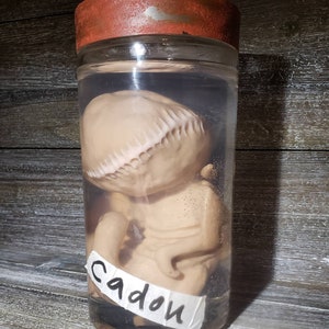 Resident Evil Fan Art Cadou Video Game Prop Replica Specimen Jar LG Damaged Specimen