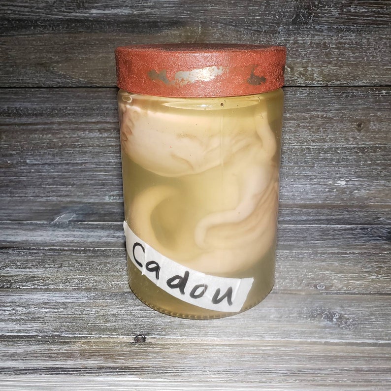 Resident Evil Fan Art Cadou Video Game Prop Replica Specimen Jar SM Specimen W/ Tint
