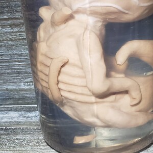 Resident Evil Fan Art Cadou Video Game Prop Replica Specimen Jar bild 3