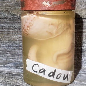 Resident Evil Fan Art Cadou Video Game Prop Replica Specimen Jar bild 6