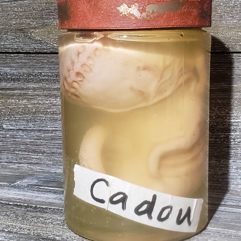 Resident Evil Fan Art Cadou Video Game Prop Replica Specimen Jar bild 6