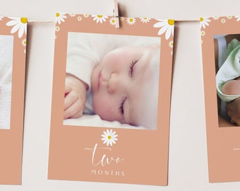 Editable First Birthday Photo Banner Template, Daisy First Birthday Party Decor, First Year Photo Banner, 12 month photo banner, 8129