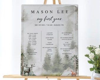 Winter eerste verjaardag teken, eerste verjaardag mijlpaal Board sjabloon, Baby Boy eerste verjaardag, Baby mijlpaal bewerkbare Board, downloaden, 8112