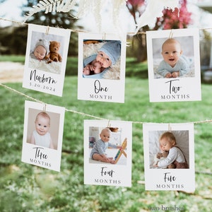 1st Birthday Photo Banner, First Birthday Photo Banner, Monthly Milestone Photo Cards, First Birthday Decorations, Gender Neutral, 8096