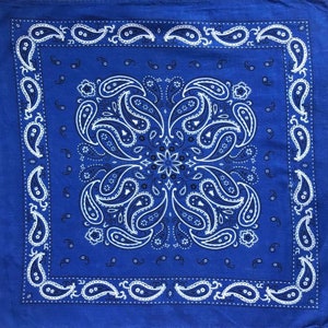 Vintage Blue Paisley Handkerchief (19x18 Inch)