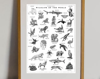 World Wildlife Poster, Vintage Hand-drawn Animal Artwork, Natural History Illustration