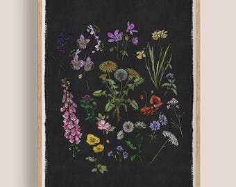 Wildflower Artwork | Botanical Print | Watercolour Flowers Art | British Nature Print | Vintage Illustration