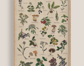 Botanical Print | Foraging Artwork | British Wild Food | Nature Poster | Forest Food | Kitchen Decor | Vintage Gold
