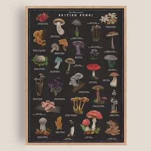 May include: A black and white illustrated poster featuring a collection of 36 different types of British fungi. The poster is titled "The Wild Guide Presents British Fungi".