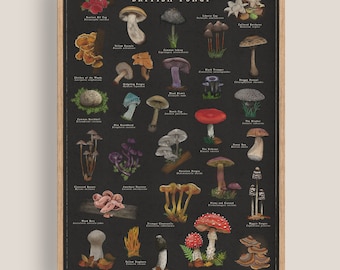 Mushrooms Print | Vintage Noir Fungi Poster | Botanical Artwork | British Mushroom Illustration | Nature Art Print
