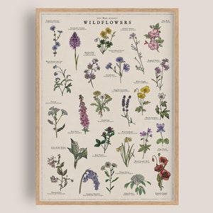 British Wildflowers Artwork | Botanical Print | Watercolour Flowers Art | British Nature Print | Vintage Illustration