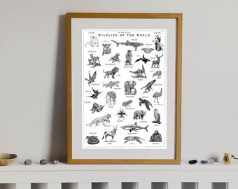 Puede incluir: Un póster ilustrado en blanco y negro titulado "Wildlife of the World" que presenta una variedad de animales, incluyendo un oso polar, un koala, un tiburón, una ballena, un ciervo, un león, un elefante, un avestruz, una araña, una serpiente, un guepardo, una gacela, un tiburón y un mono.