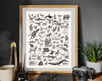 Puede incluir: Una ilustración en blanco y negro de varios animales, incluyendo una ballena, un elefante, un pájaro y un pez. La ilustración está enmarcada y colgada en una pared.