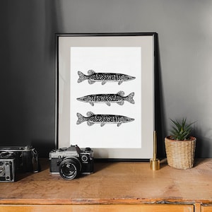 Pike Fish Print | Angling Artwork | Pike Illustration Poster
