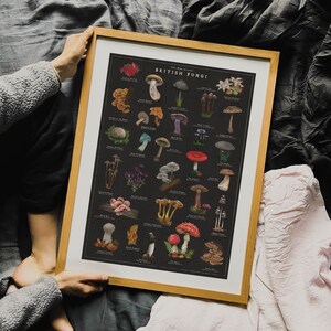 wild mushroom art work. colourful inked mushrooms on black paper. variety of wild mushrooms founds in the uk.