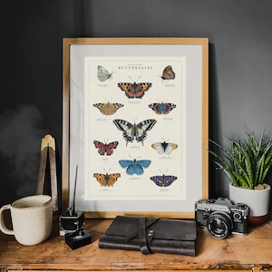 May include: A vintage-style illustrated poster featuring a collection of butterflies with their common names. The poster is framed in a light wood frame and has a white background.