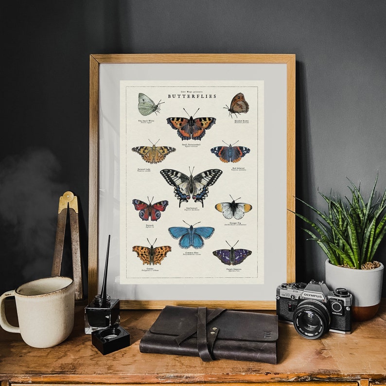 May include: A vintage-style illustrated poster featuring a collection of butterflies with their common names. The poster is framed in a light wood frame and has a white background.