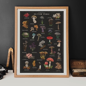 May include: A vintage-style illustrated poster featuring a collection of British fungi. The poster is on a black background and features the title "British Fungi" in a white font. The poster includes the names of each type of fungi, such as "Fly Agaric", "Chanterelle", and "Common Earthball".