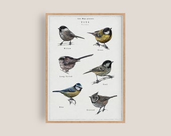Puede incluir: Un póster ilustrado de estilo vintage que presenta seis tipos diferentes de Tits, un tipo de ave. El póster incluye los nombres de cada ave: Willow, Great, Long Tailed, Coal, Blue y Crested.