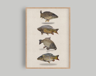 Puede incluir: Una impresión enmarcada de cuatro peces carpas, cada uno con un patrón de color y una pose diferentes. Los peces se representan de forma realista, con escamas y aletas detalladas. La impresión está sobre un fondo beige claro.