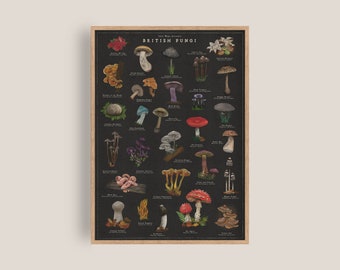 Impresión de hongos / Póster vintage de hongos negros / Ilustración botánica / Ilustración británica de hongos / Impresión de arte natural