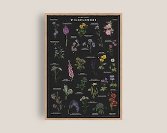 Puede incluir: Un póster en blanco y negro con ilustraciones de varias flores silvestres. El póster tiene el título "Wildflowers" y los nombres de cada flor.