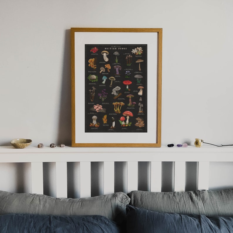 May include: A framed poster with a black background and white text that reads "The New Naturalist Guide to British Fungi". The poster features illustrations of various types of mushrooms in different colours, including red, white, brown, and yellow.