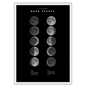 Puede incluir: Un p&oacute;ster en blanco y negro con el texto "Fases de la Luna" y un diagrama de las fases de la luna. Las fases est&aacute;n etiquetadas con n&uacute;meros y nombres, como "Luna Nueva", "Luna Creciente", "Cuarto Creciente", "Luna Llena", "Luna menguante gibosa", "Cuarto Menguante" y "Luna menguante".