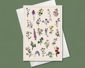 Puede incluir: Tarjeta de felicitación con una ilustración botánica de varias flores silvestres en varios colores, incluyendo morado, amarillo y rojo. La tarjeta rectangular viene con un sobre blanco.