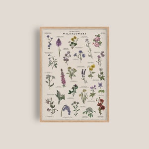 British Wildflowers Artwork | Botanical Print | Watercolour Flowers Art | British Nature Print | Vintage Illustration