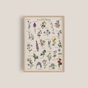 Oeuvre d'art de fleurs sauvages britanniques | Impression botanique | Aquarelle de fleurs | Impression nature britannique | Illustration vintage