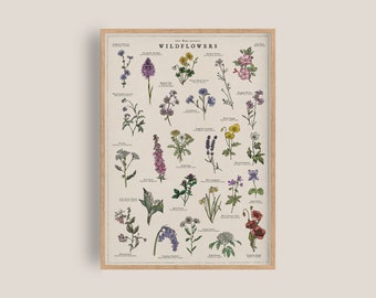 Britse wilde bloemenkunstwerk | Botanische afdruk | Aquarel bloemen kunst | Britse natuurprint | Uitstekende illustratie