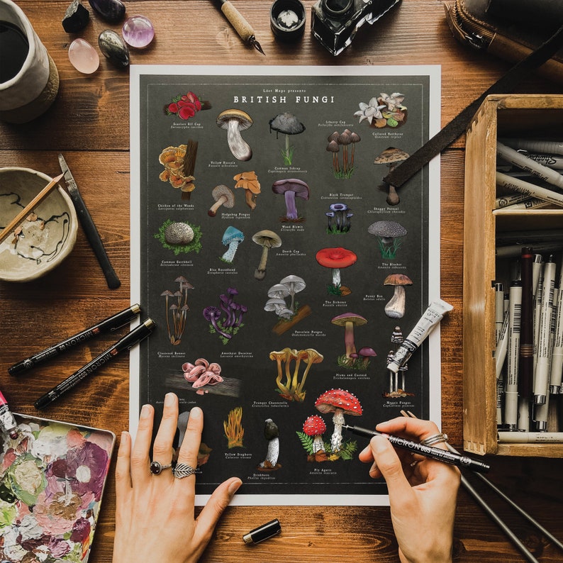 wild mushroom art work. colourful inked mushrooms on black paper. variety of wild mushrooms founds in the uk. 
flatly image of artist tools with pens and paint showing painting process.
