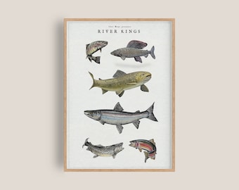 Puede incluir: Una impresión enmarcada con el título "River Kings" e ilustraciones de cinco tipos diferentes de peces, incluyendo trucha, salmón y tímalo. Los peces se representan en un estilo realista con marcas y colores detallados.